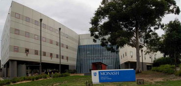 莫纳什大学电子商务专业