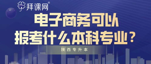 山东省考电子商务专业